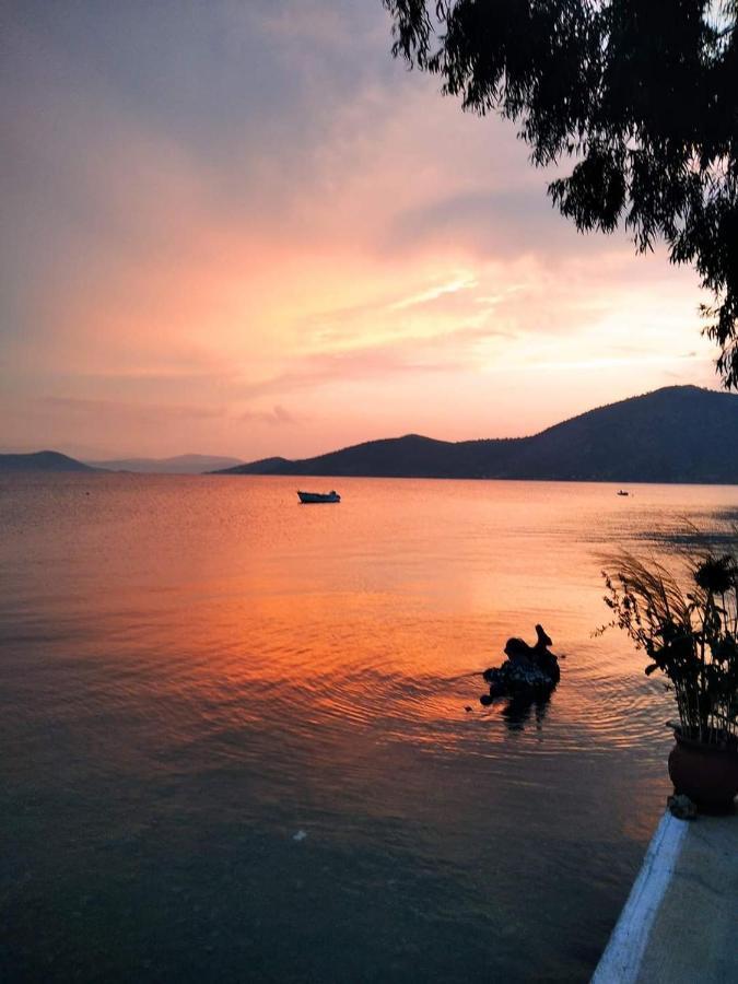 Vitamin Sea Studio Panagia  Exterior photo