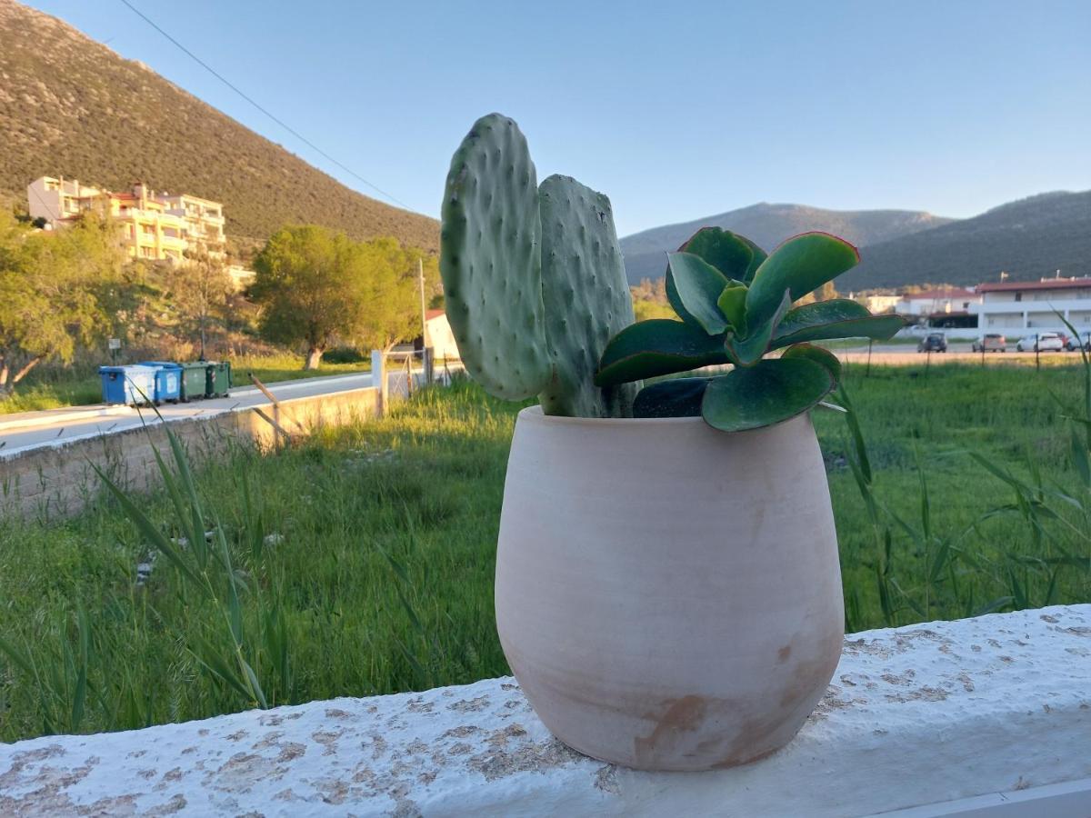 Vitamin Sea Studio Panagia  Exterior photo